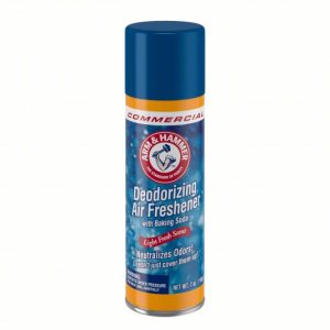 Arm & Hammer Fabric and Carpet Foam Deodorizer