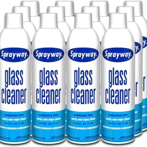 Sprayway Foaming Glass Cleaner